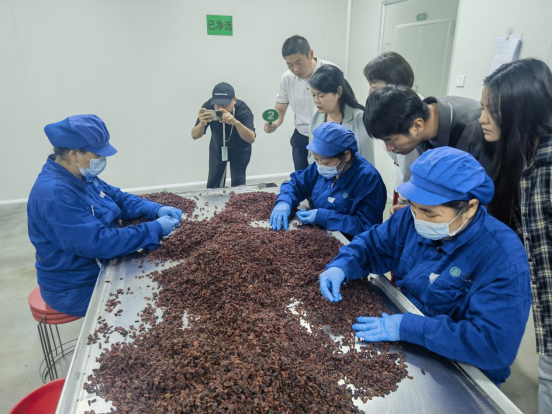 传承中医药发展根基 铸造中药国宝品牌