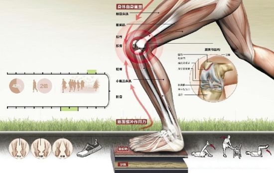 网球肘跑步膝为何运动伤越来越多?